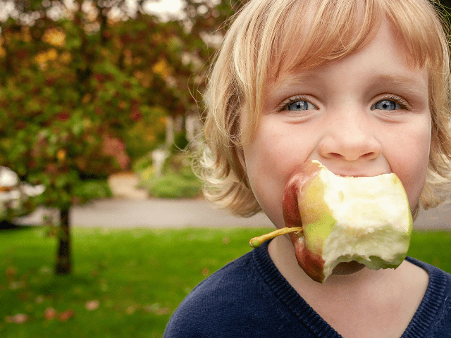 Vertering begint in de mond